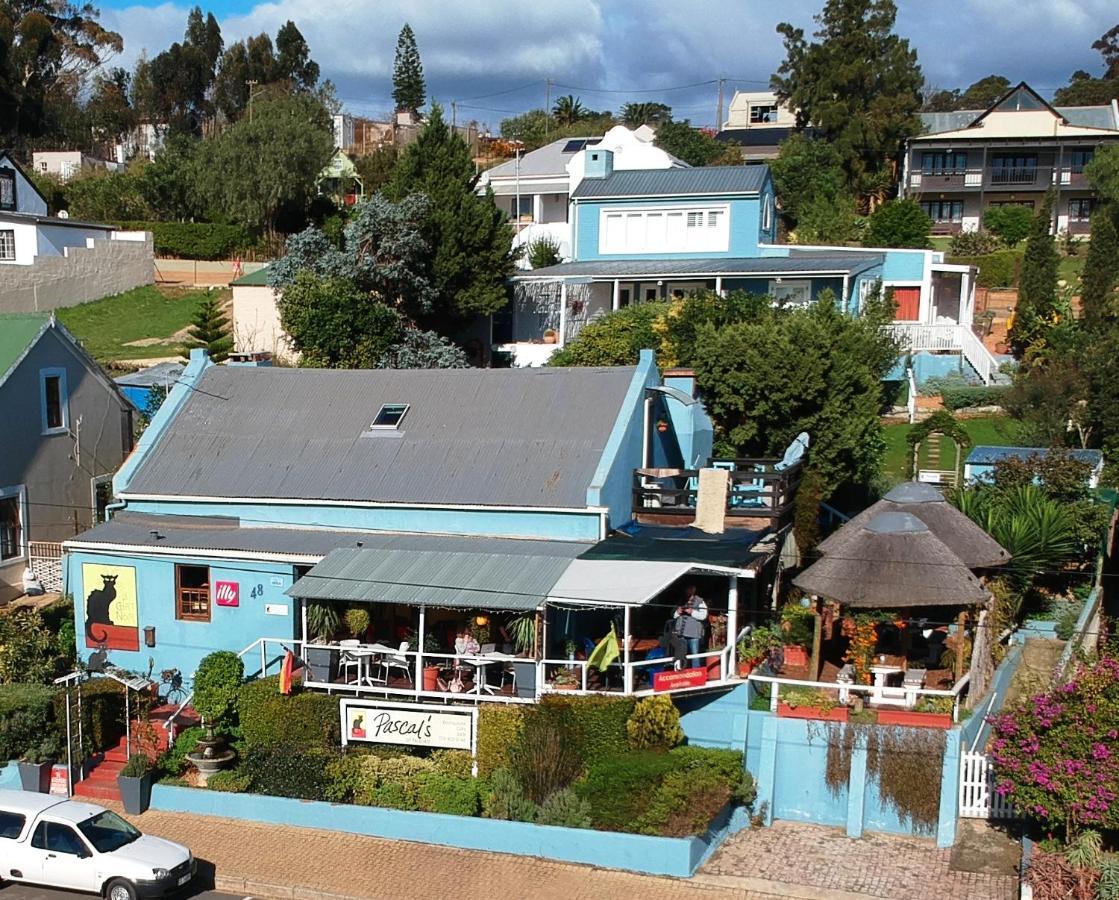 Pascal'S Of Napier Hotel Exterior photo